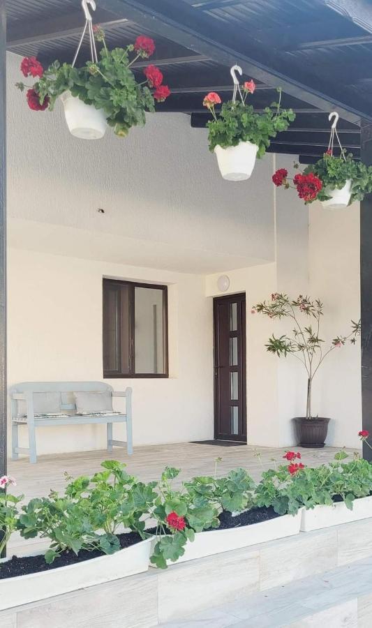 Casa Domneasca Hotel Giurgiu Exterior photo